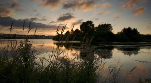 Ballynamoney View